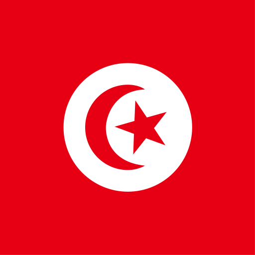 {locationCode=TN, locationLogo=/img/flags/tn.png, operatorList=[Ljava.lang.Object;@6f97e011, locationName=Tunisia}